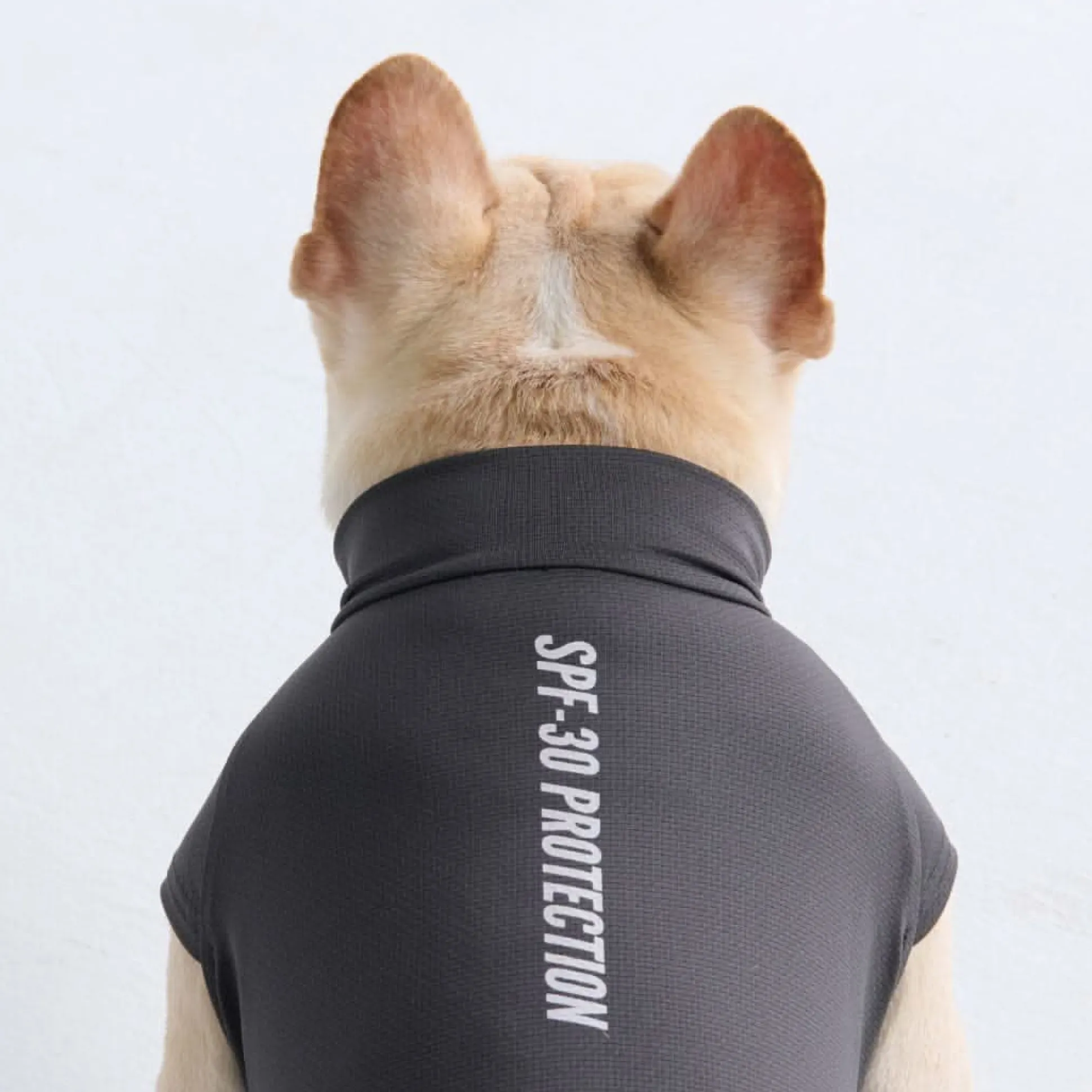 Sunblock Dog T-Shirts