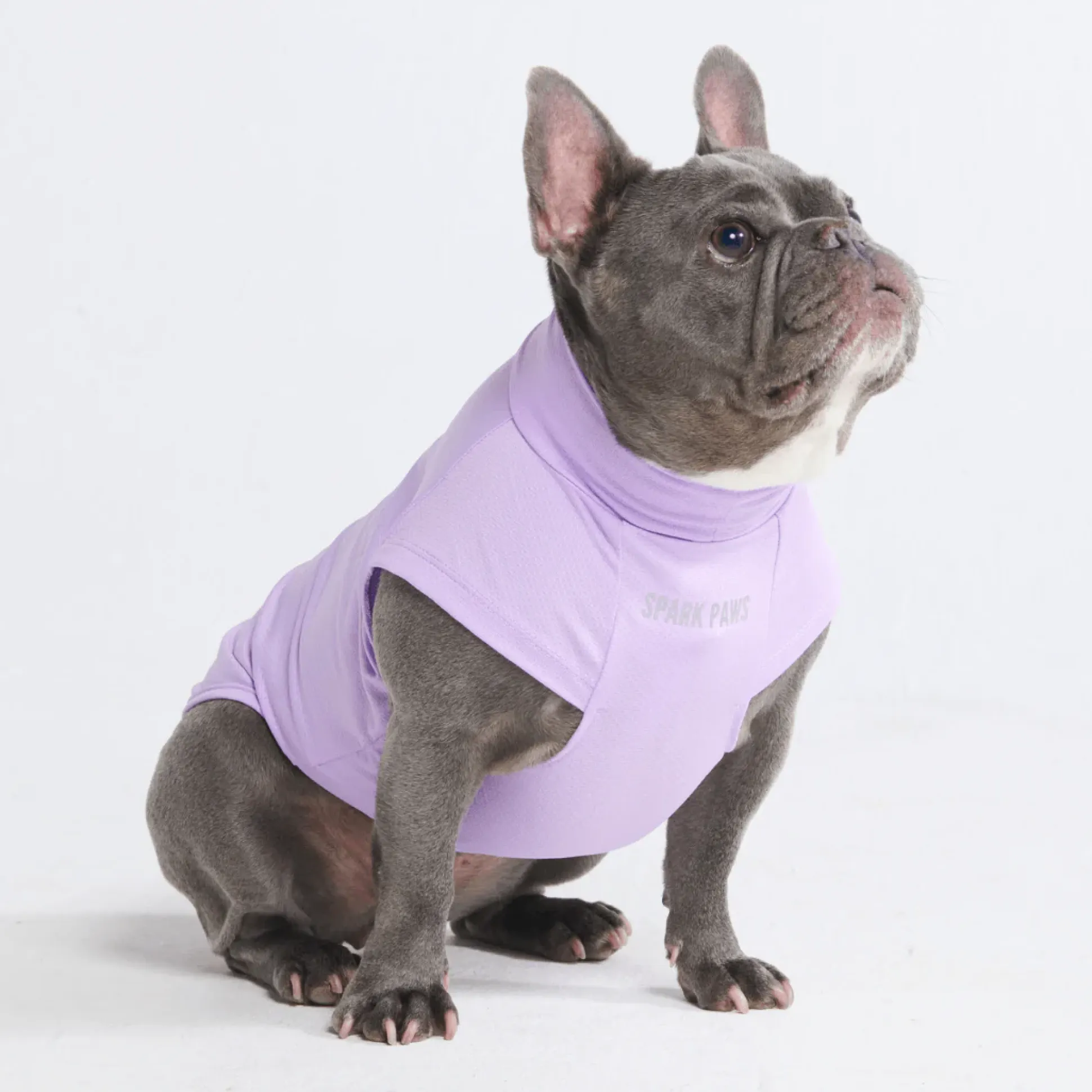 Sunblock Dog T-Shirts