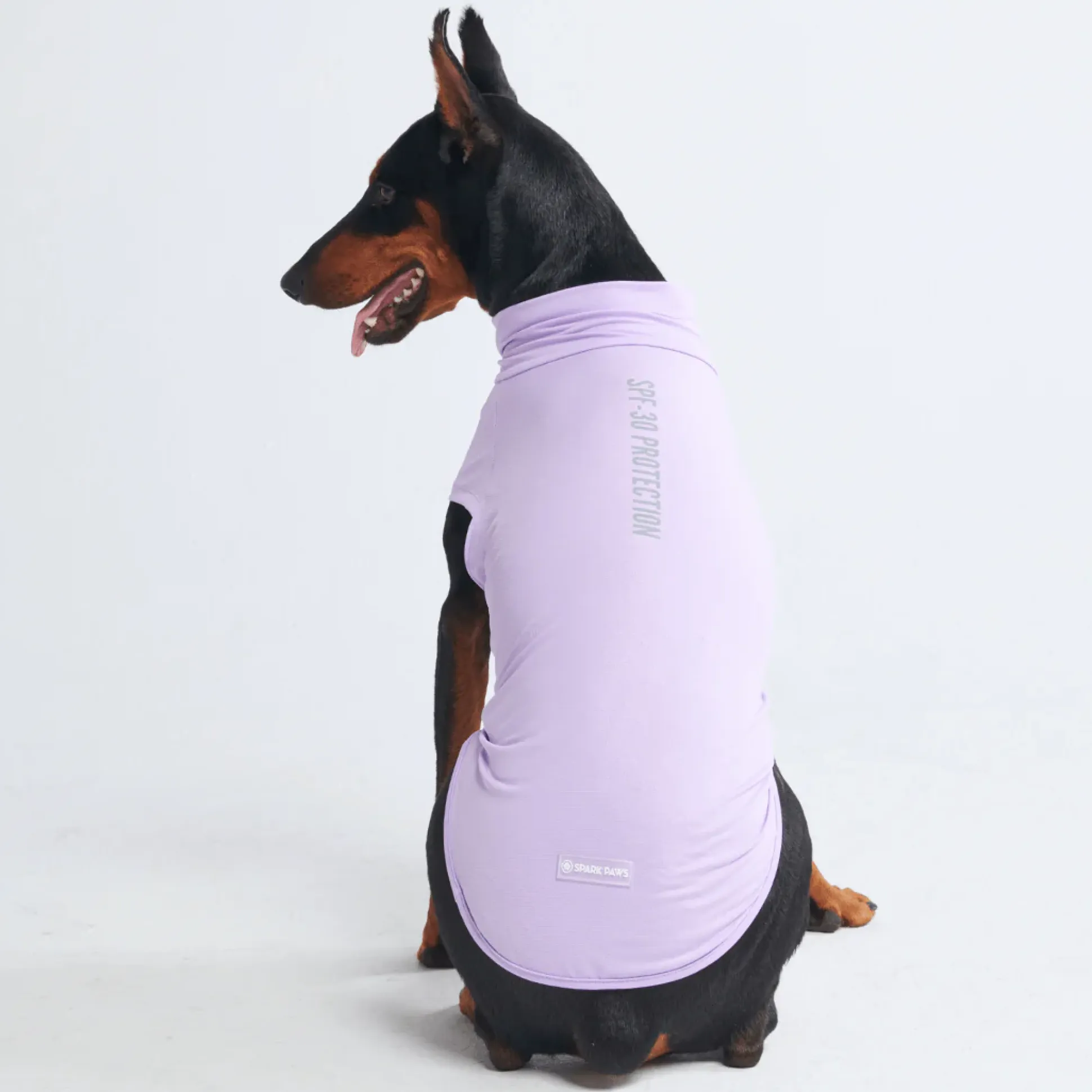Sunblock Dog T-Shirts