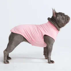Sunblock Dog T-Shirts