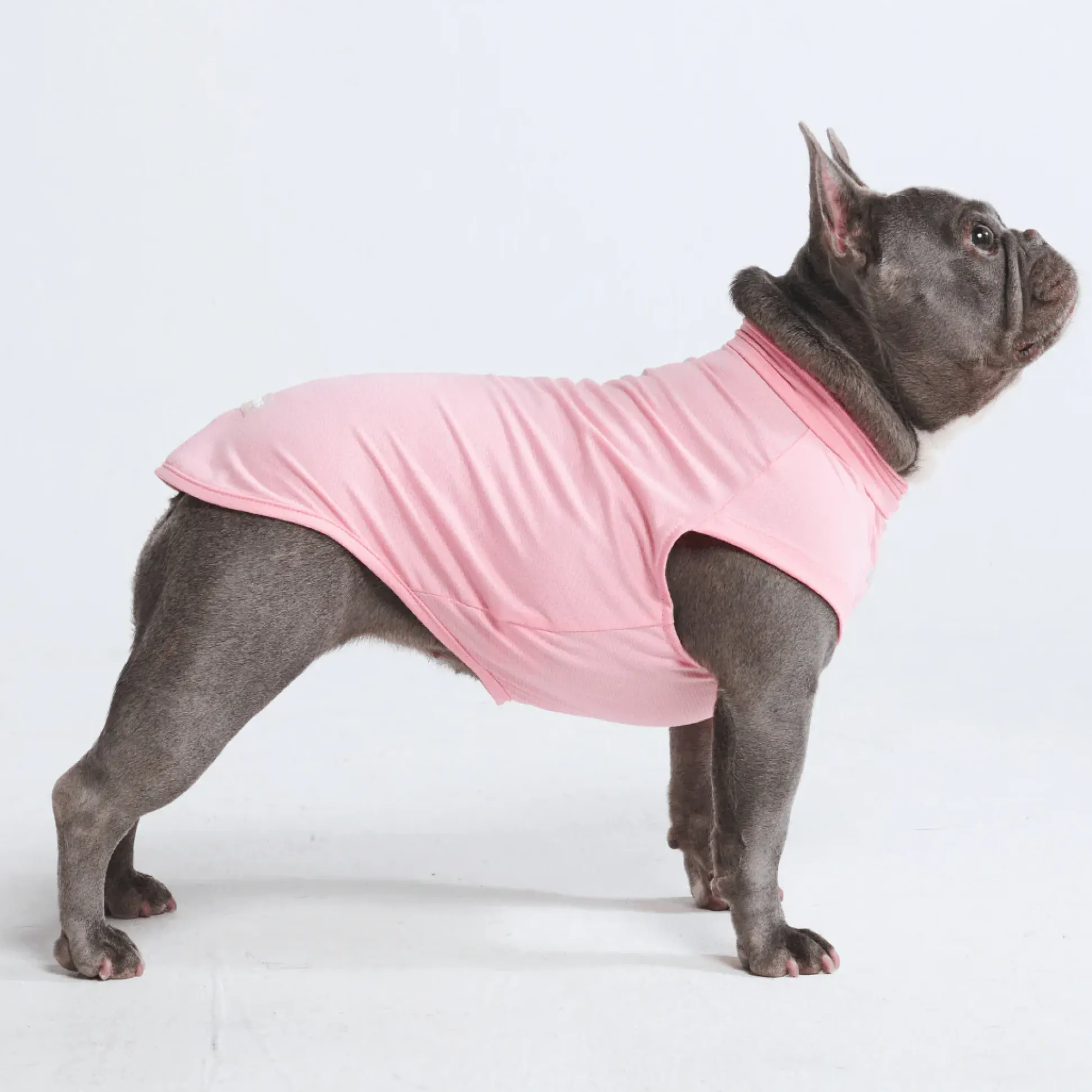 Sunblock Dog T-Shirts