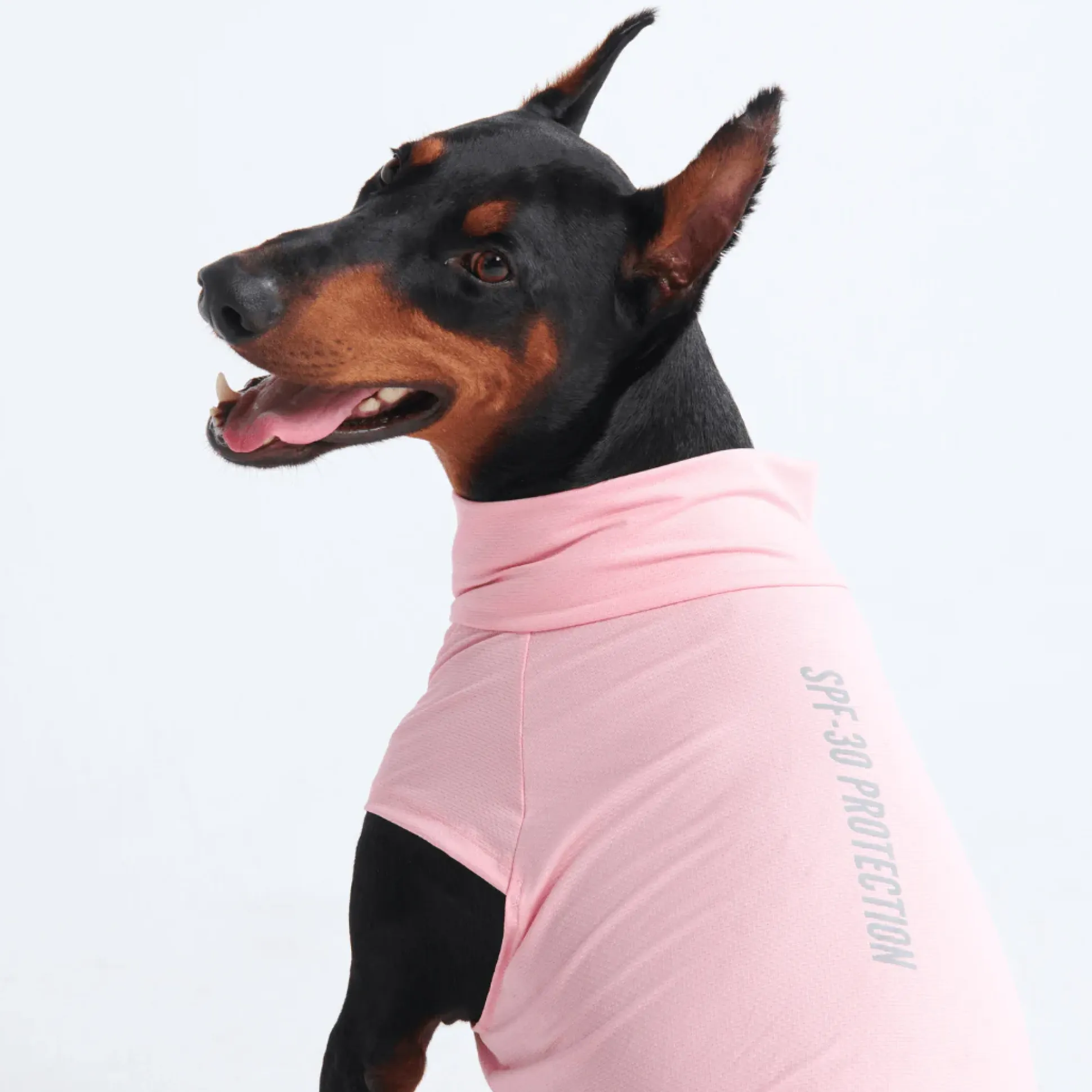 Sunblock Dog T-Shirts