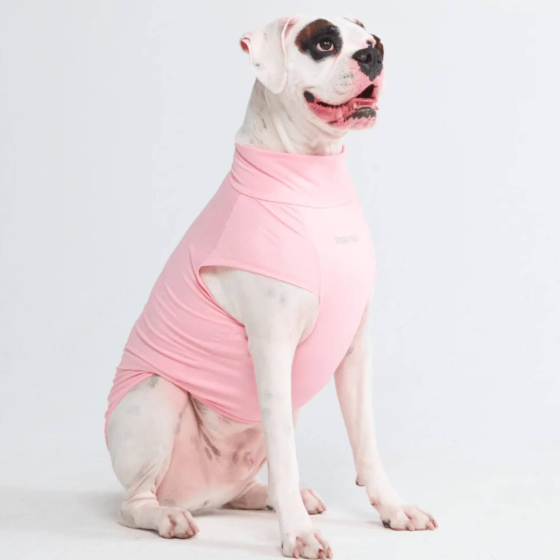 Sunblock Dog T-Shirts