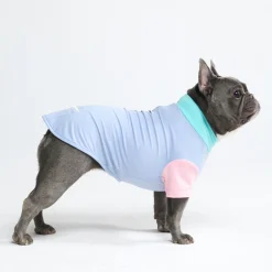 Sunblock Dog T-Shirt - Sorbet