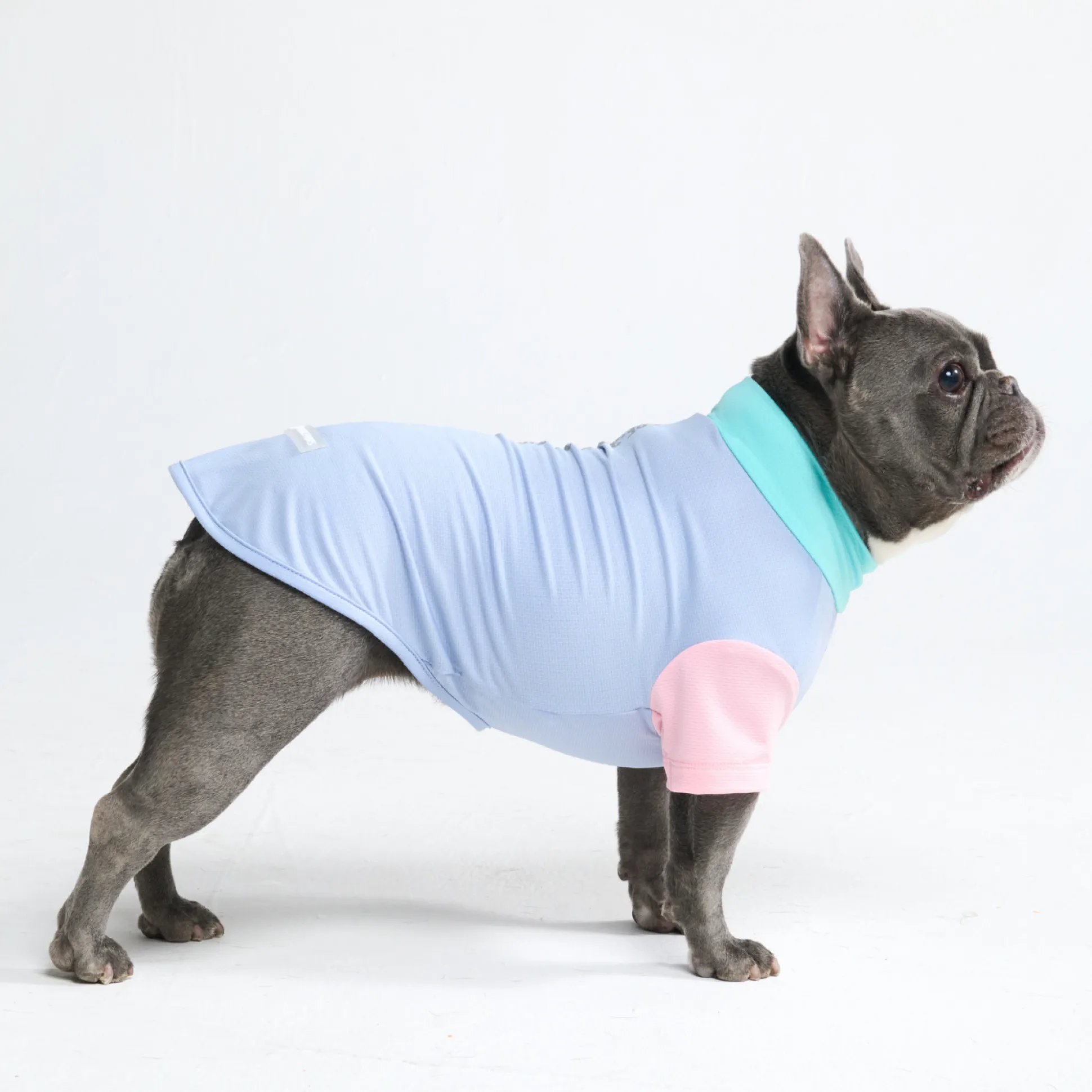 Sunblock Dog T-Shirt - Sorbet