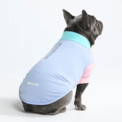 Sunblock Dog T-Shirt - Sorbet