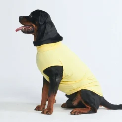 Sunblock Dog T-Shirt - Yellow
