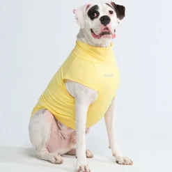 Sunblock Dog T-Shirt - Yellow