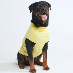 Sunblock Dog T-Shirt - Yellow