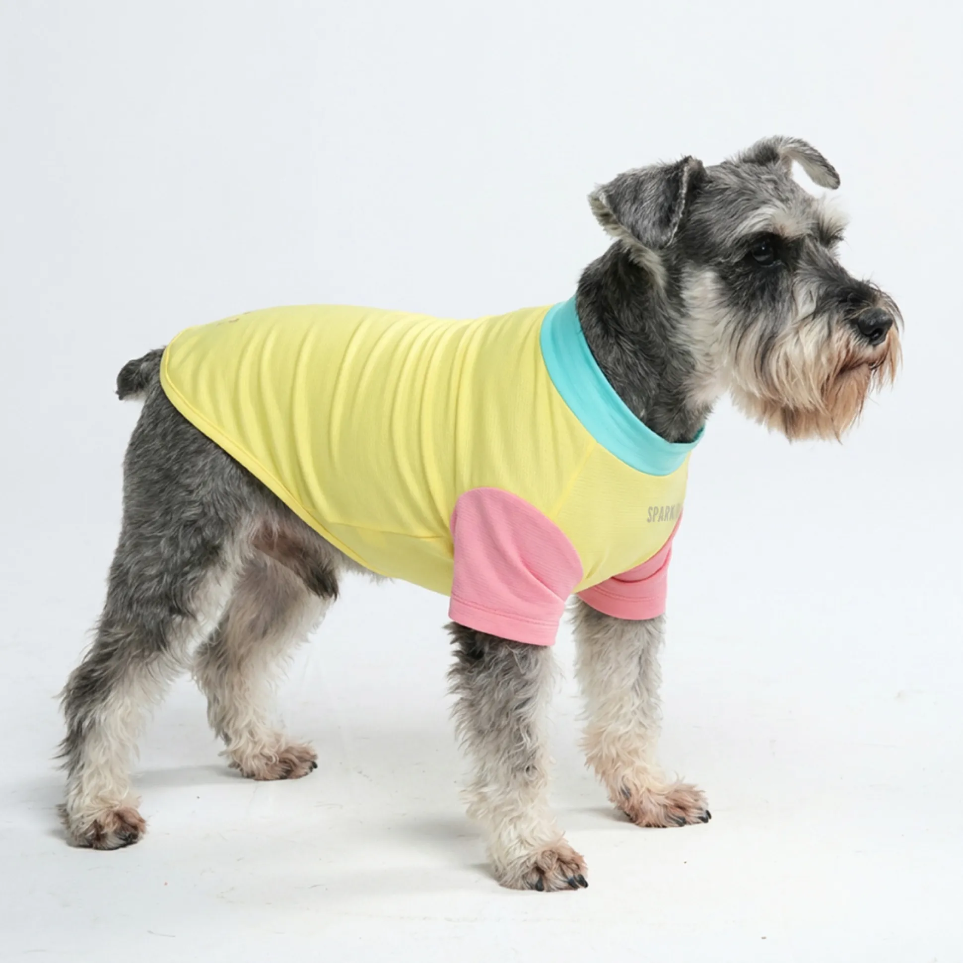 Sunblock Dog T-Shirt - Yuzu