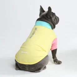 Sunblock Dog T-Shirt - Yuzu