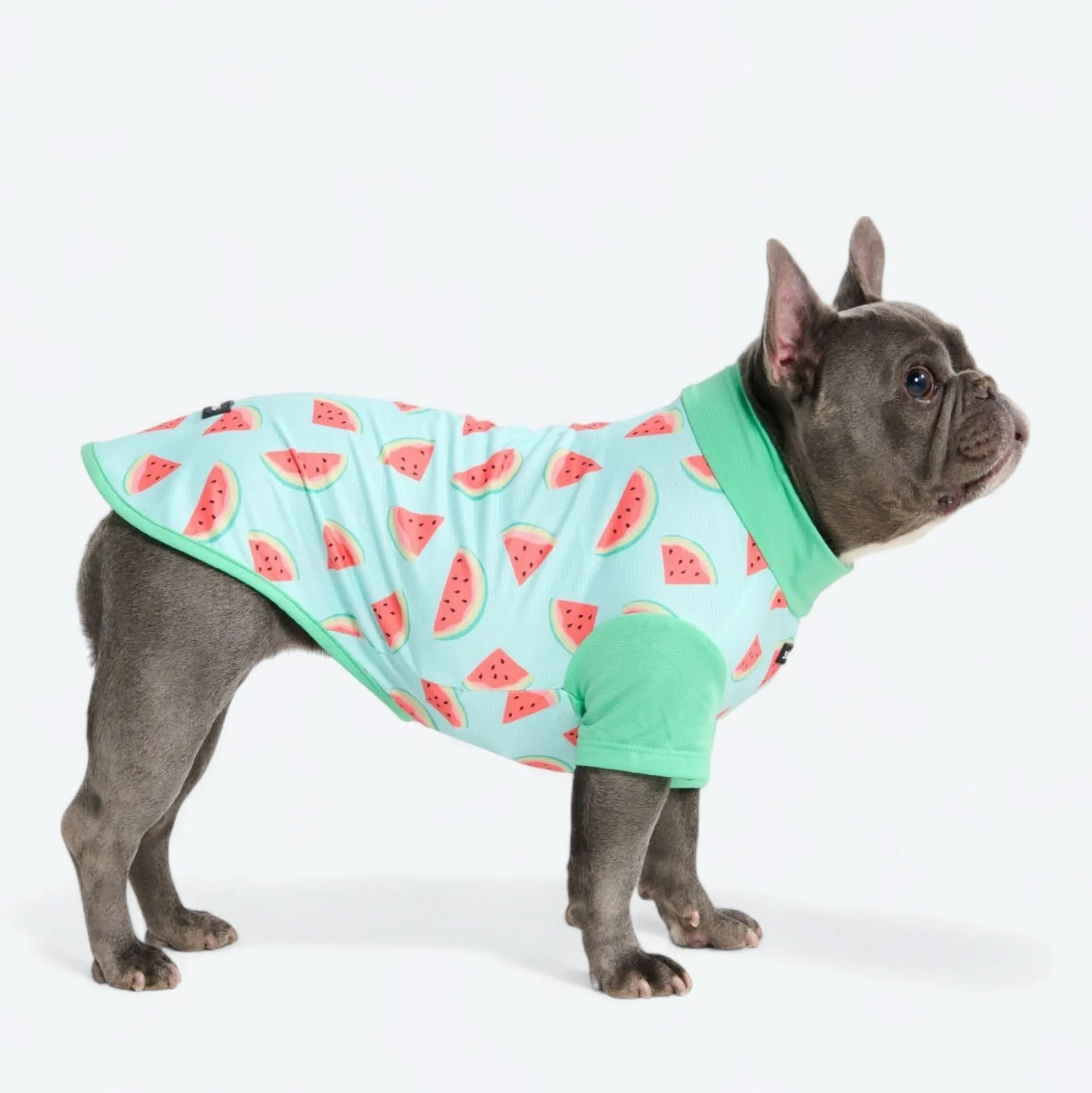 Sunblock Shirt - Watermelon