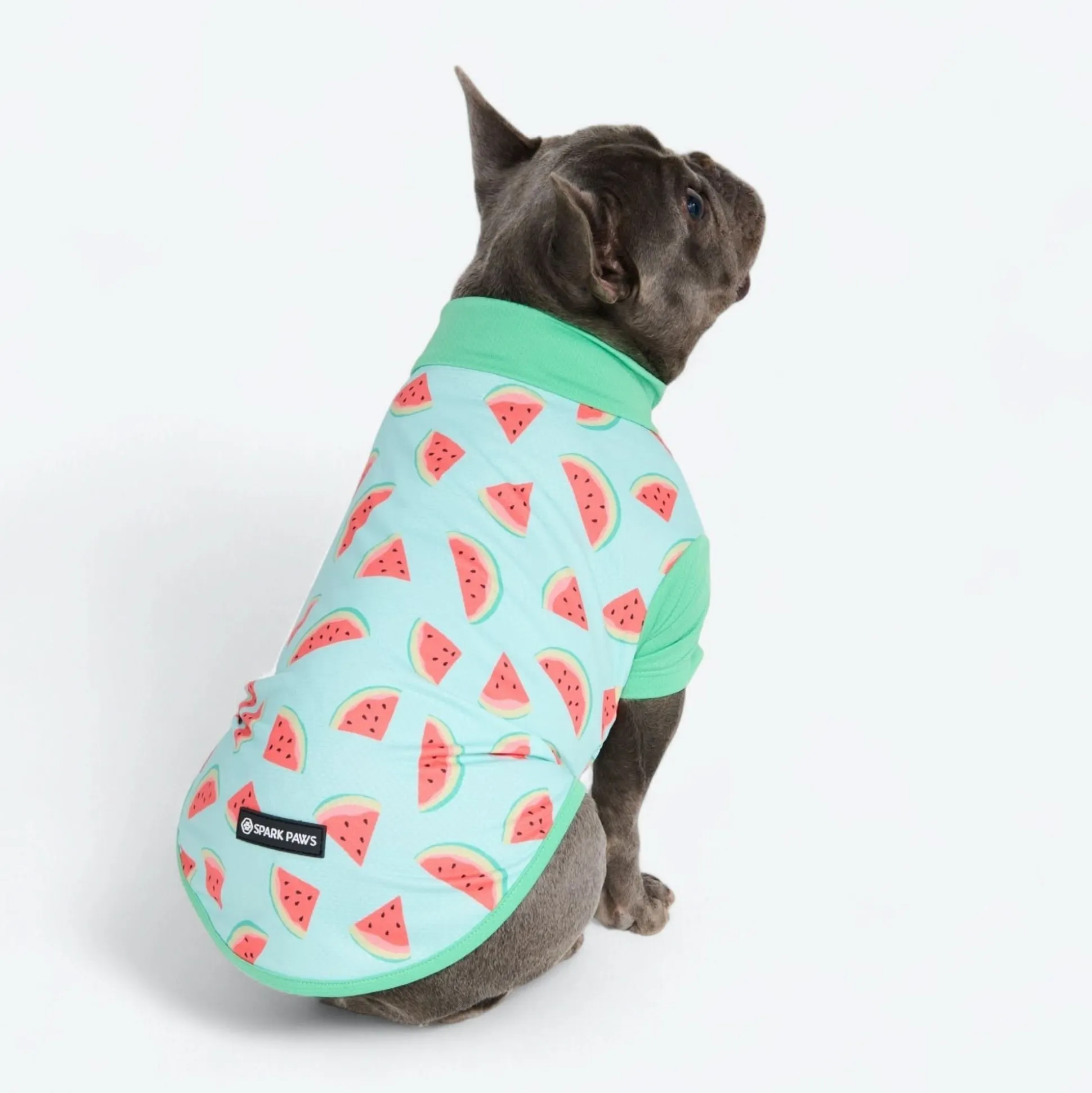 Sunblock Shirt - Watermelon