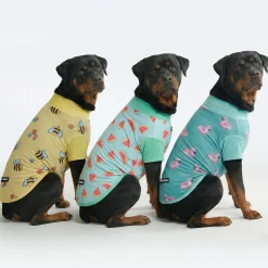 Sunblock T-Shirt 3 Pack