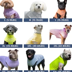 Sunblock T-Shirt 3 Pack