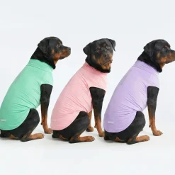 Sunblock T-Shirt 3 Pack