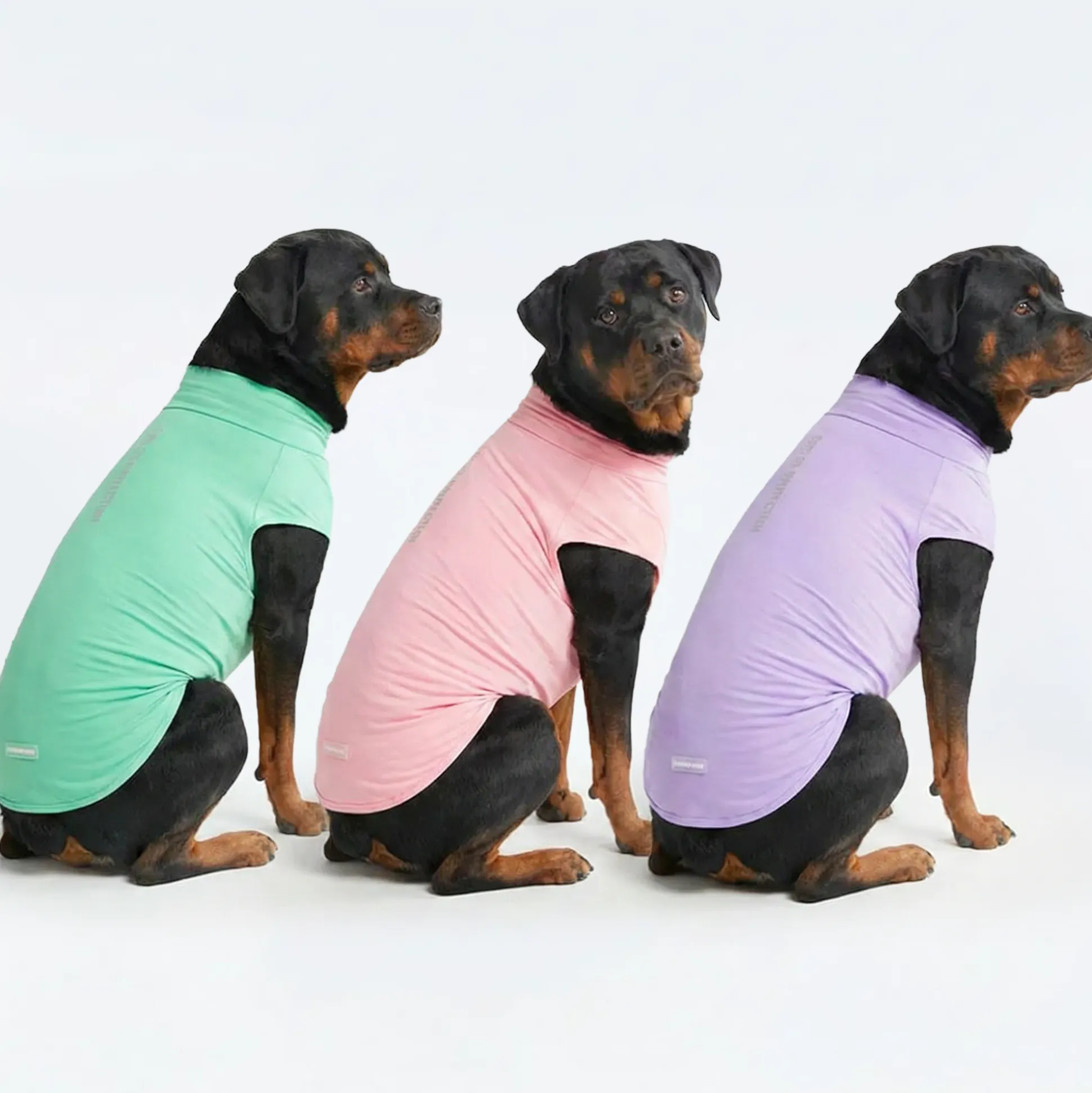 Sunblock T-Shirt 3 Pack