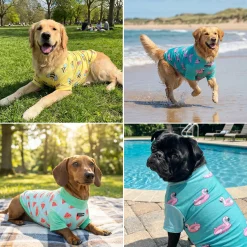 Sunblock T-Shirt 3 Pack
