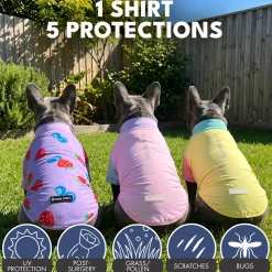 Sunblock T-Shirt 3 Pack