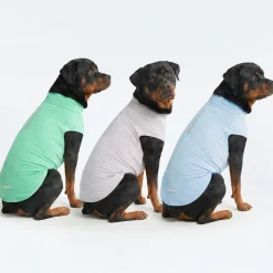 Sunblock T-Shirt 3 Pack