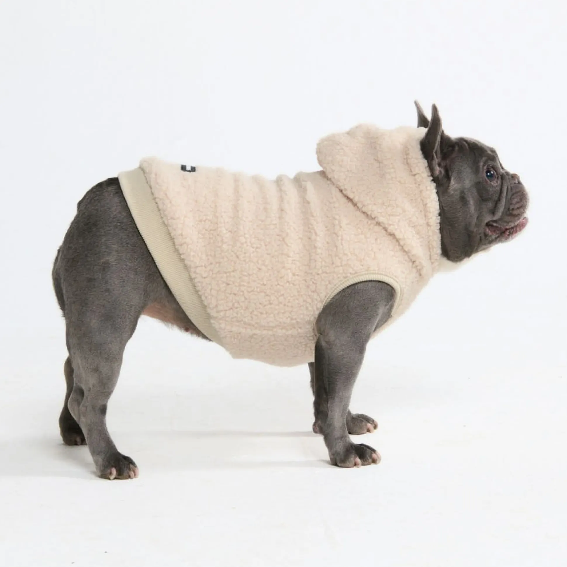 Teddy Sherpa Dog Jacket - Beige
