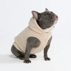 Teddy Sherpa Dog Jacket - Beige
