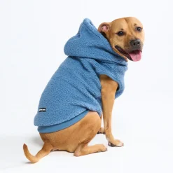 Teddy Sherpa Dog Jacket - Blue