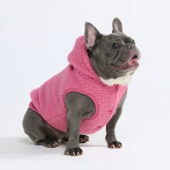 Teddy Sherpa Dog Jacket - Dark Pink