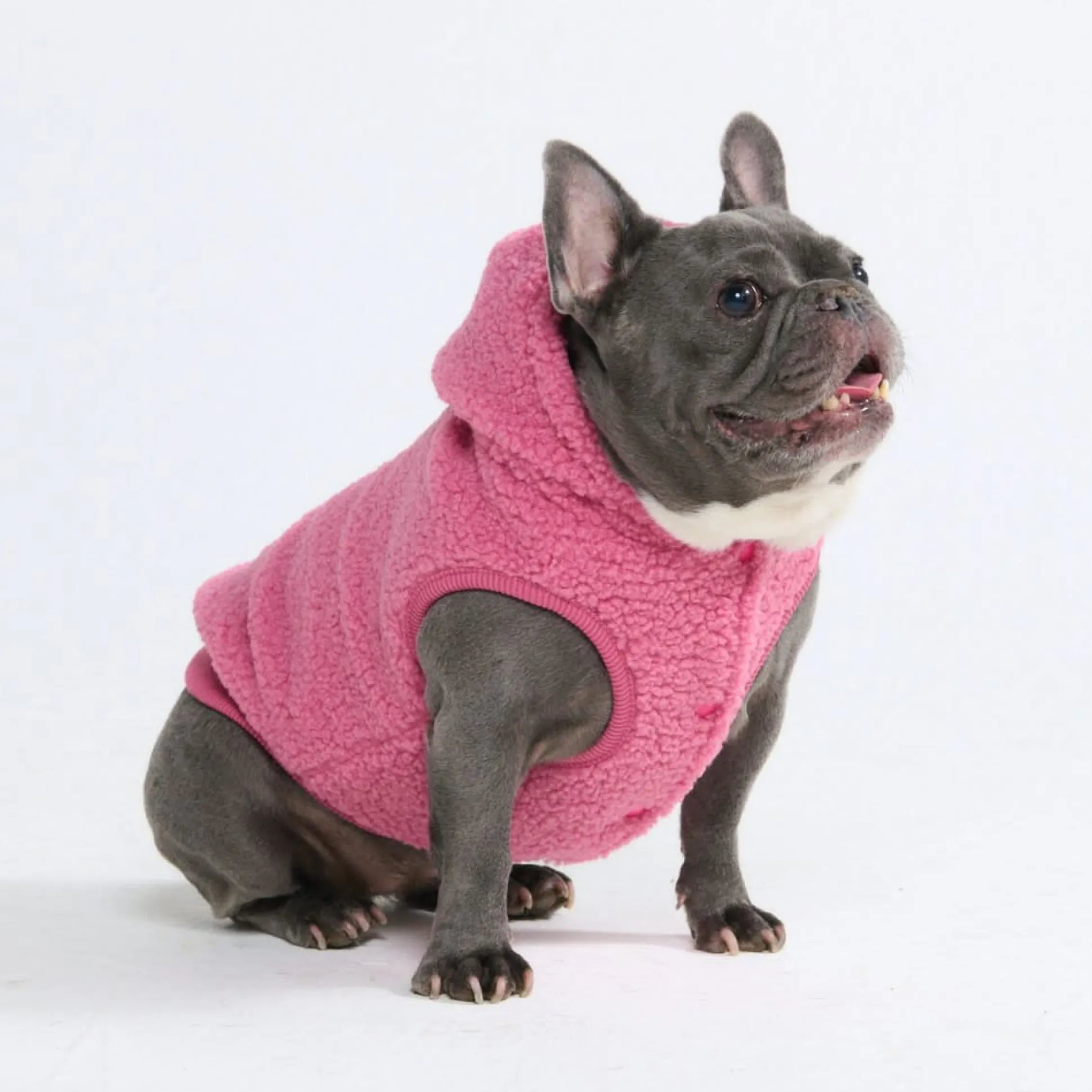 Teddy Sherpa Dog Jacket - Dark Pink