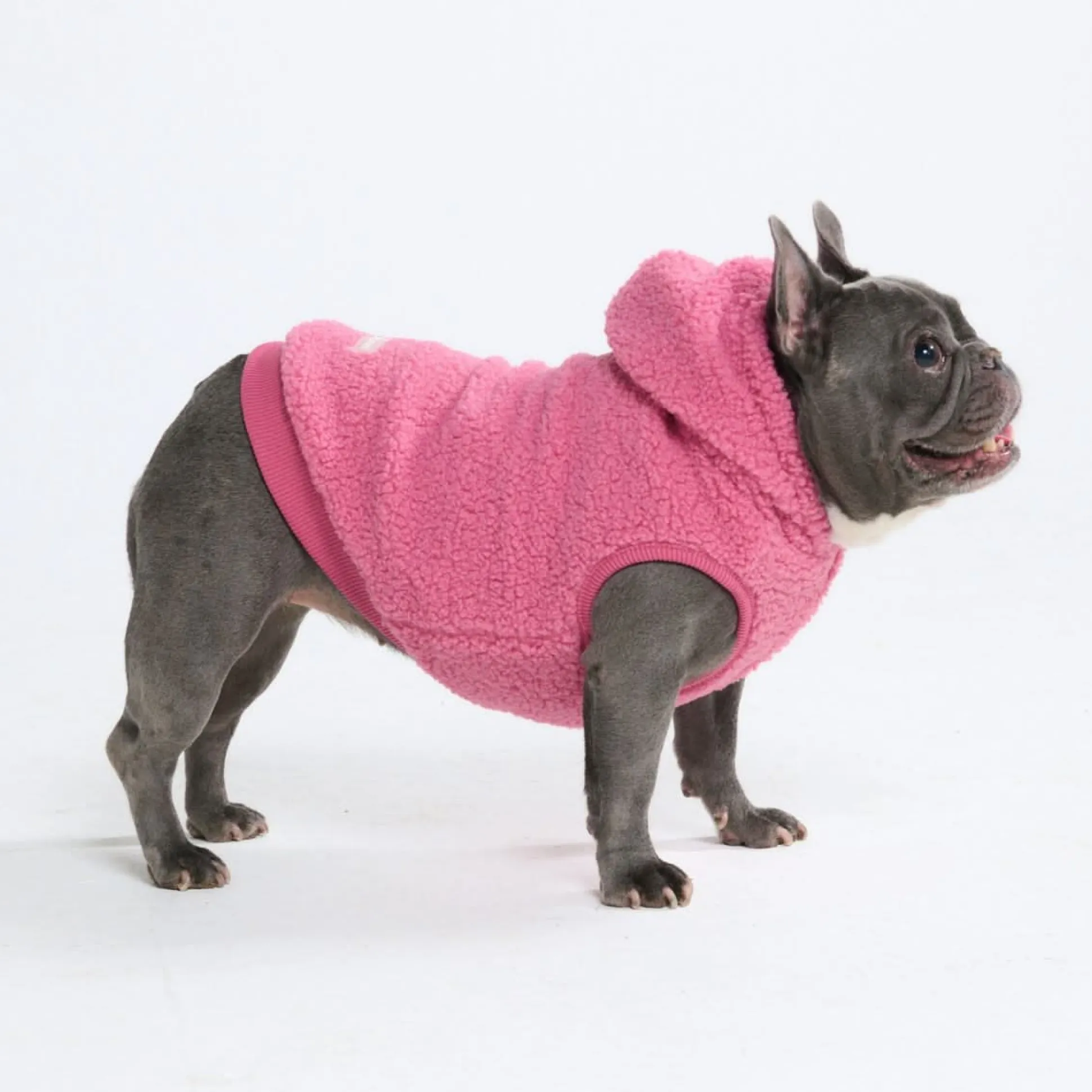 Teddy Sherpa Dog Jacket - Dark Pink