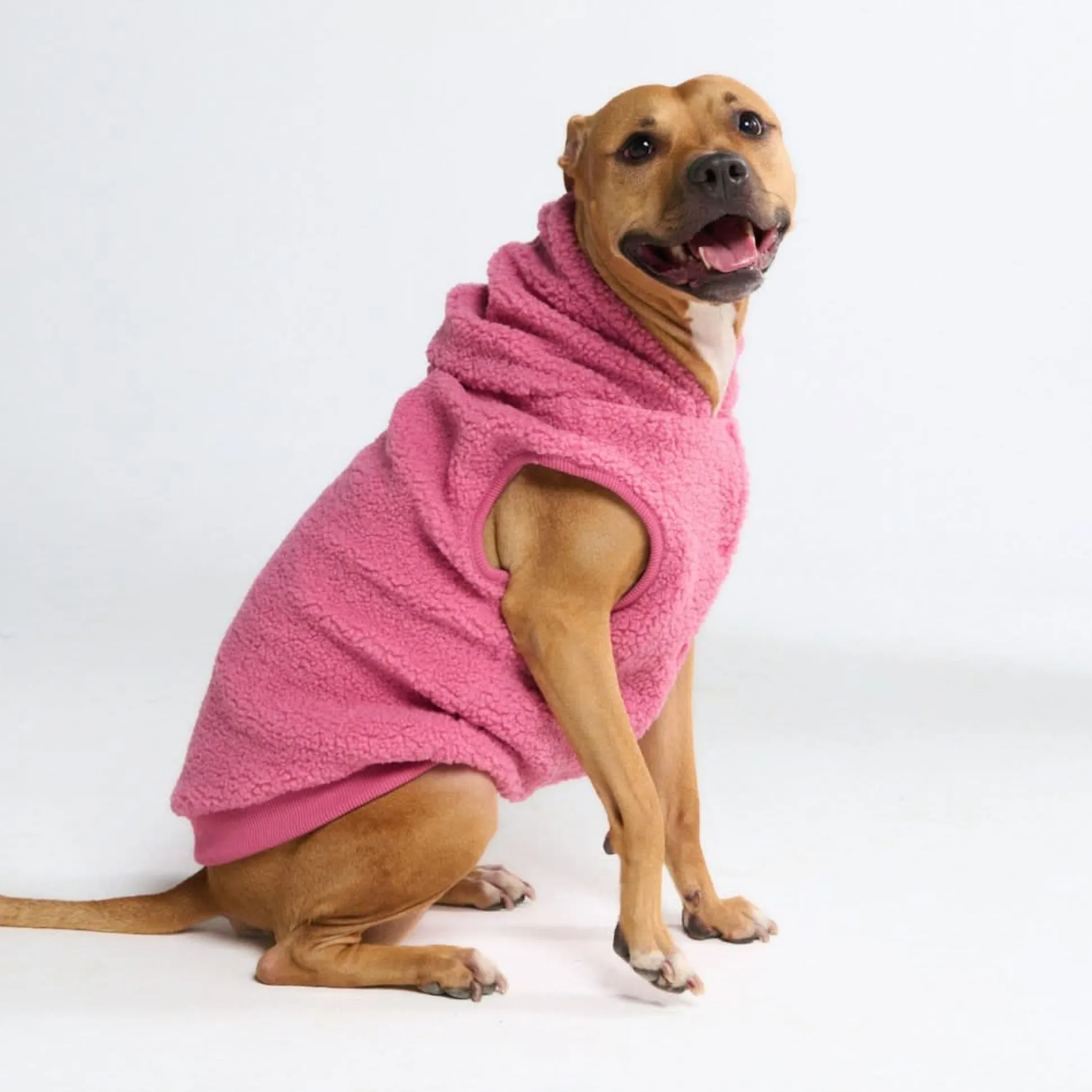 Teddy Sherpa Dog Jacket - Dark Pink