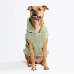 Teddy Sherpa Dog Jacket - Light Green