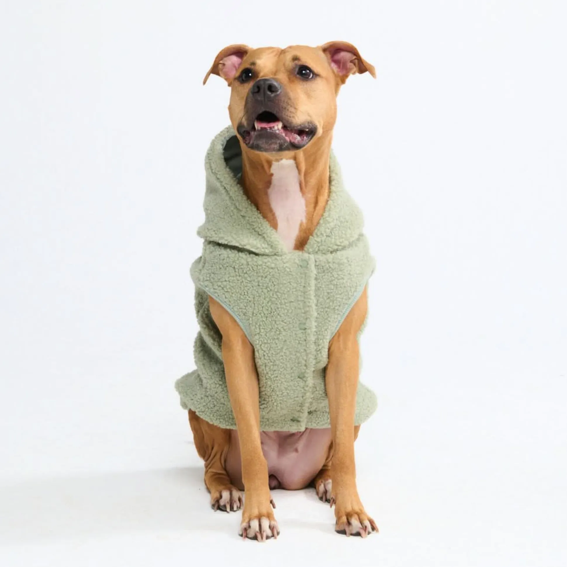 Teddy Sherpa Dog Jacket - Light Green