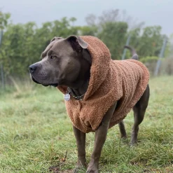 Teddy Sherpa Fleece Dog Jacket - Brown