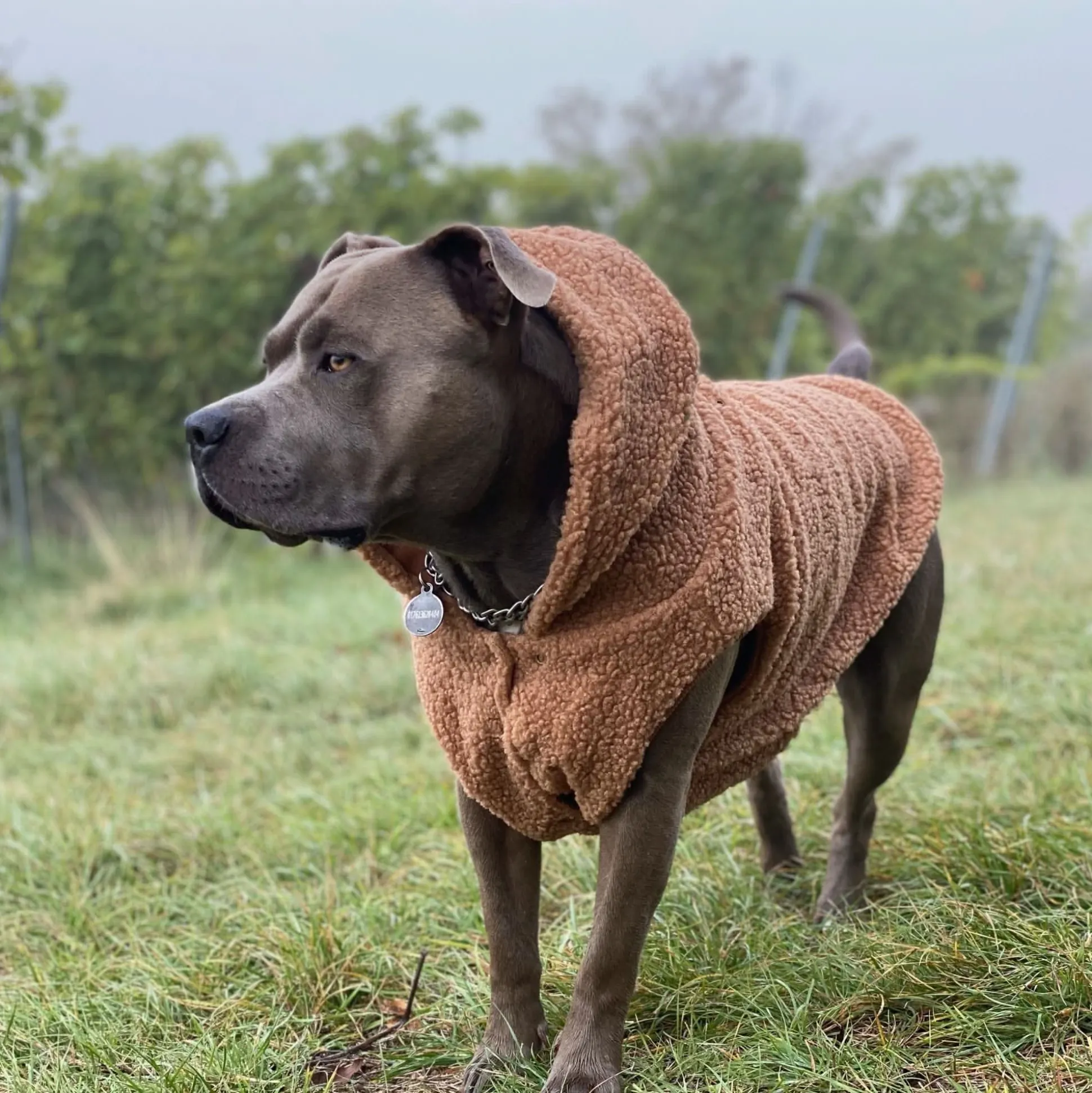 Teddy Sherpa Fleece Dog Jacket - Brown