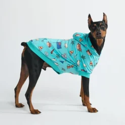 The Australia Dog Hoodie - Teal