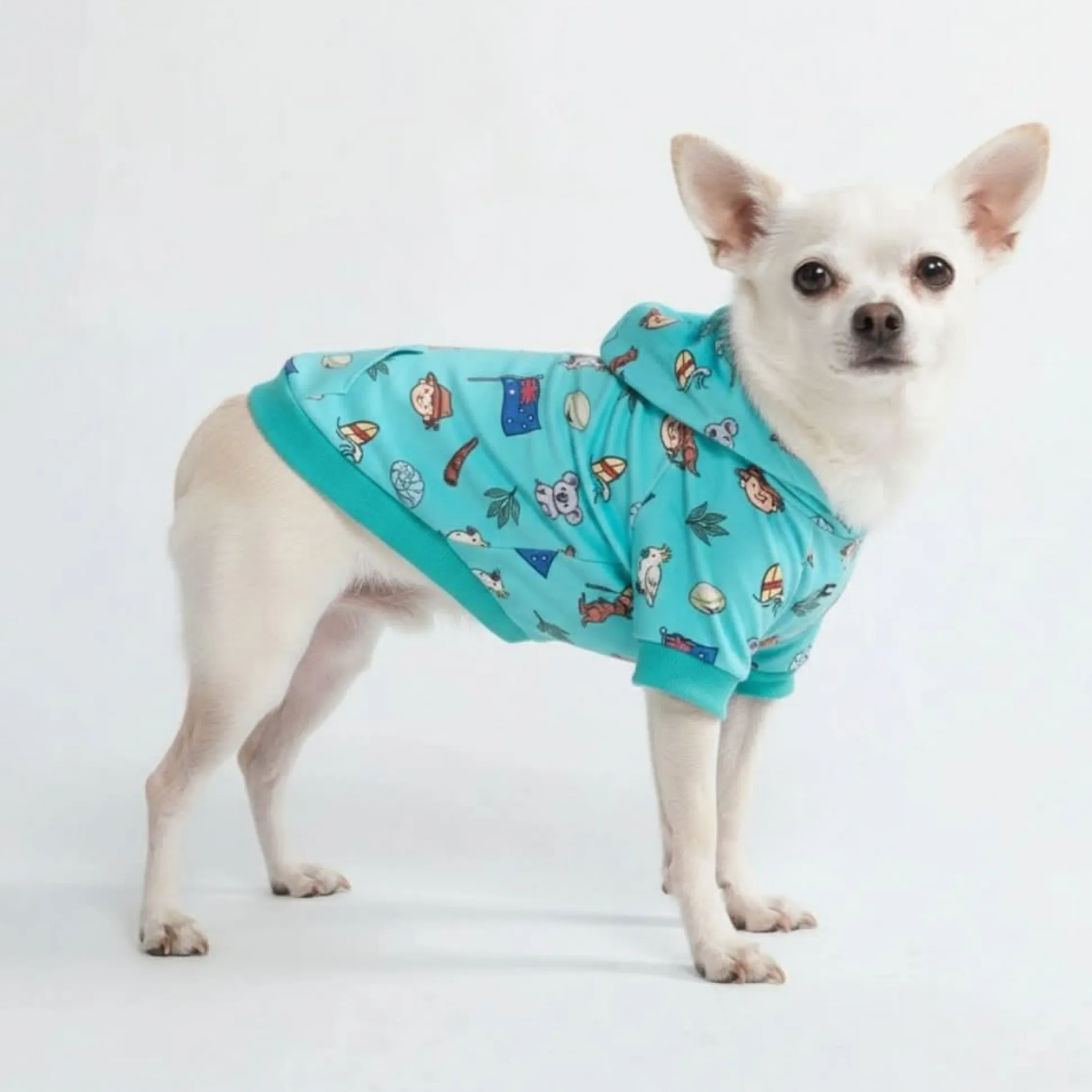The Australia Dog Hoodie - Teal