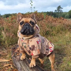 The Canada Dog Hoodie