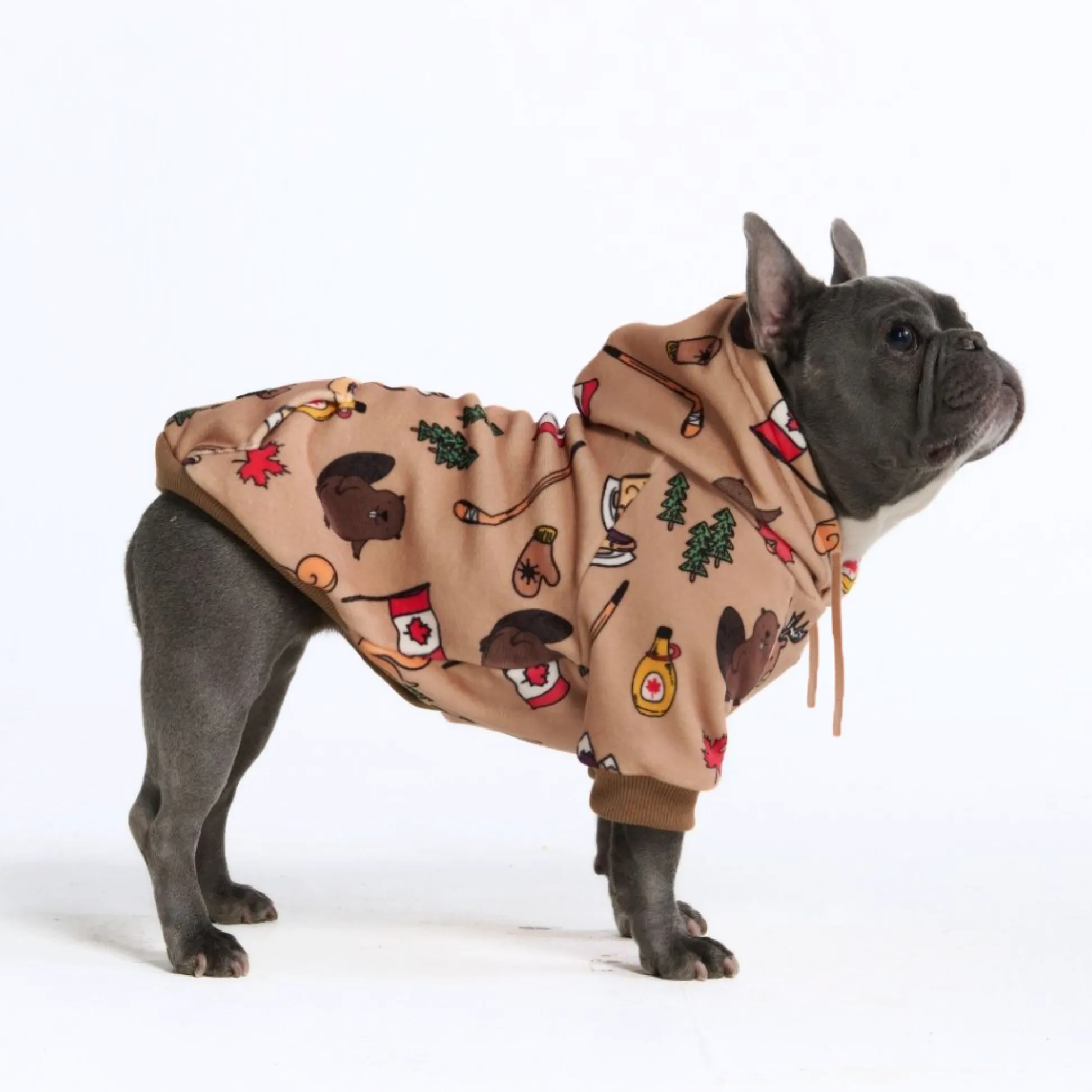The Canada Dog Hoodie