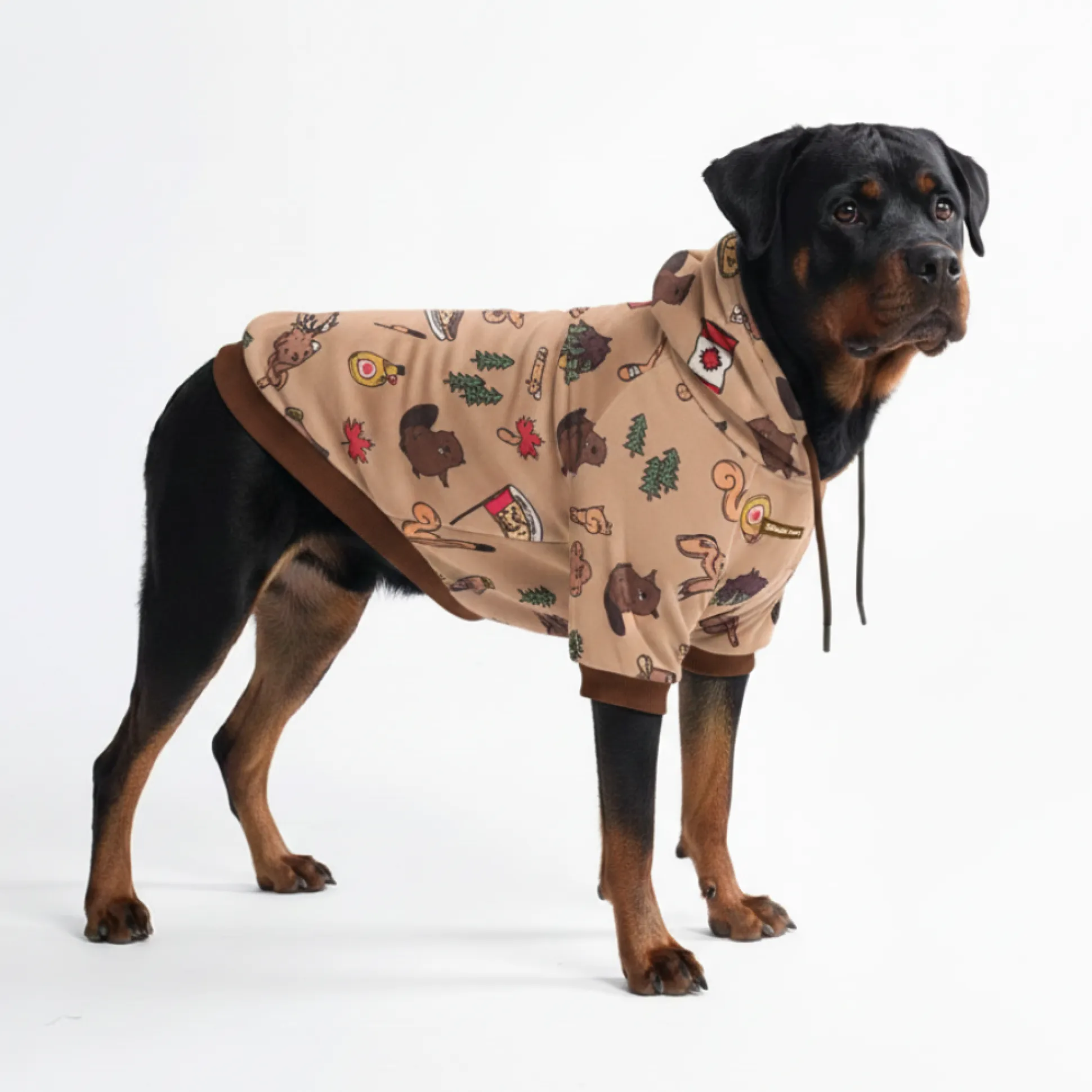 The Canada Dog Hoodie
