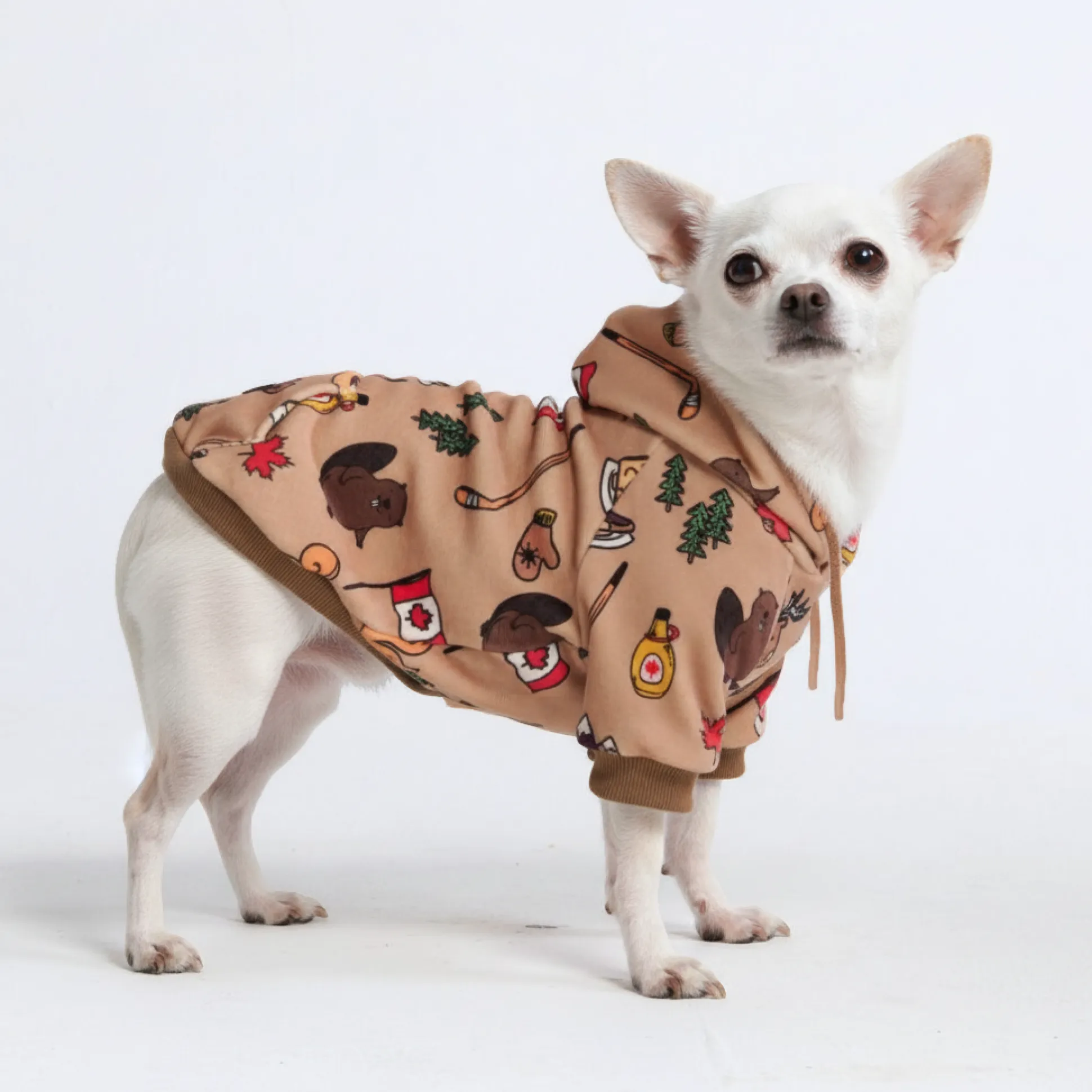 The Canada Dog Hoodie
