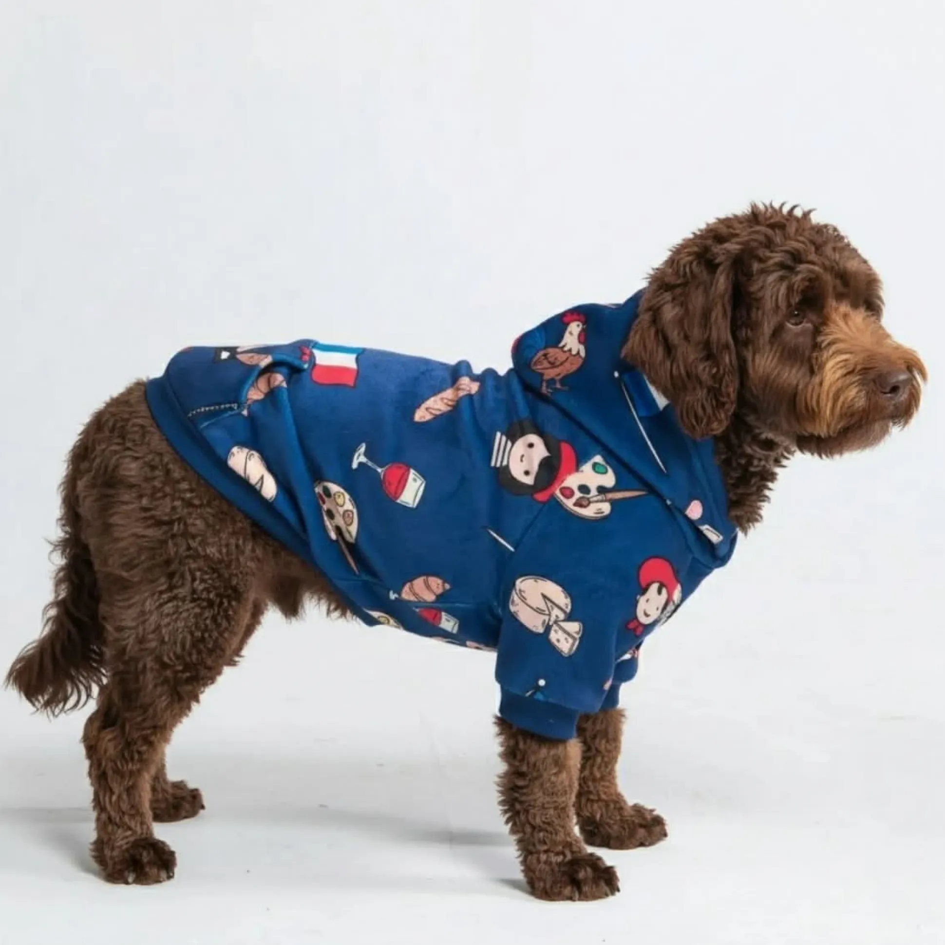 The France Dog Hoodie - Blue
