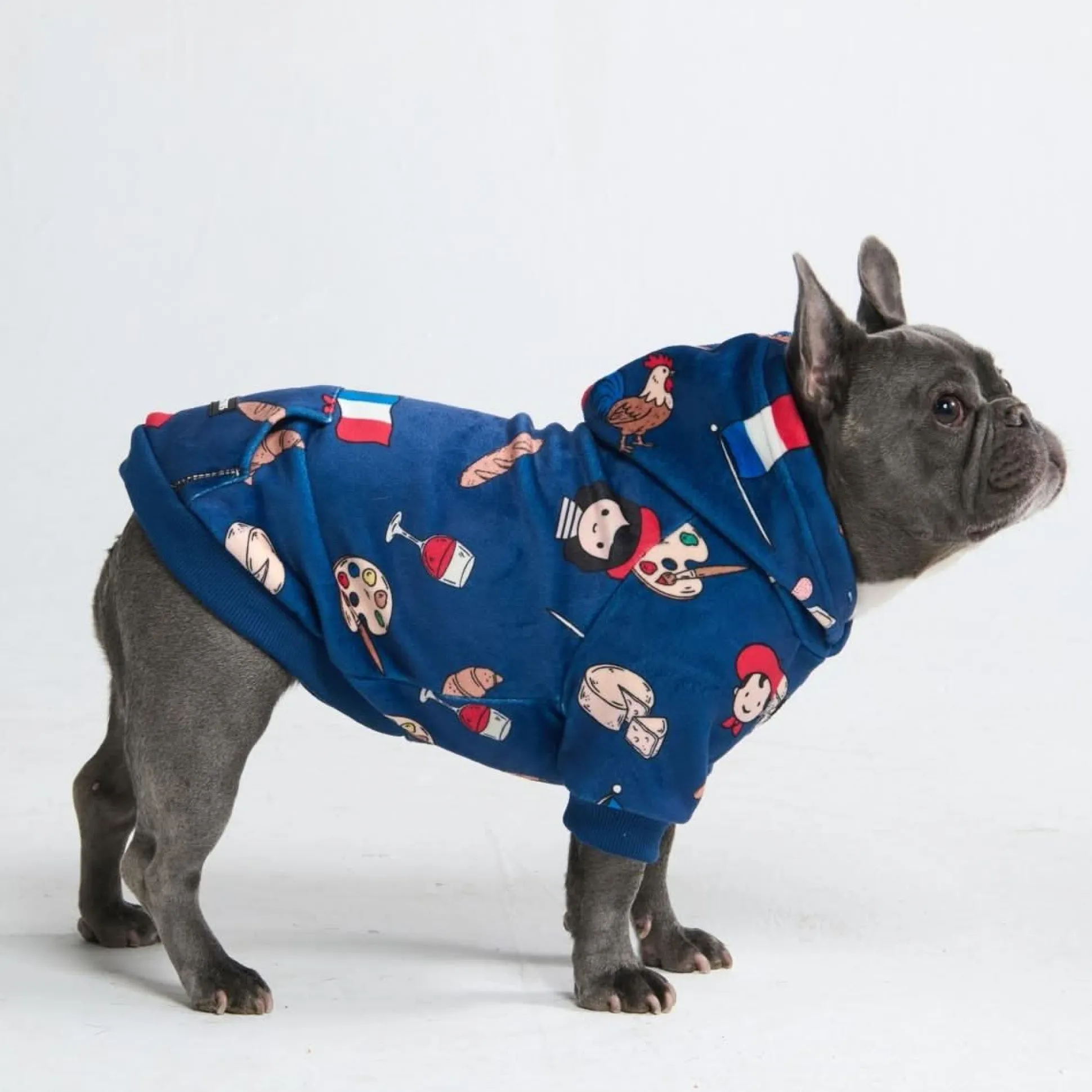 The France Dog Hoodie - Blue