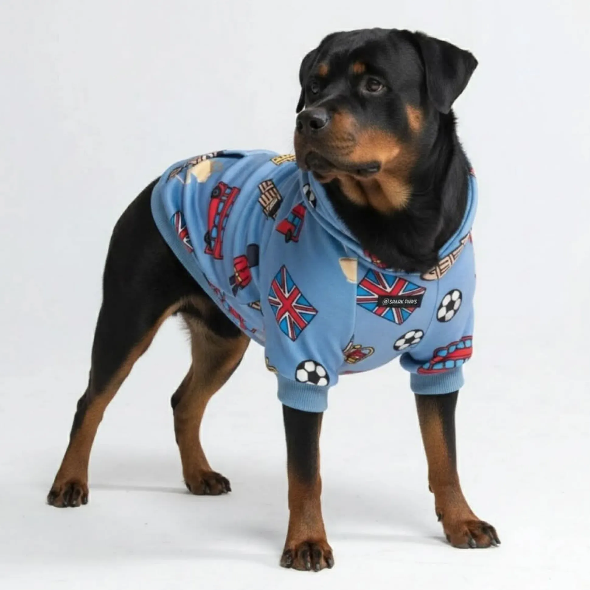 The UK Dog Hoodie
