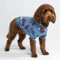 The UK Dog Hoodie