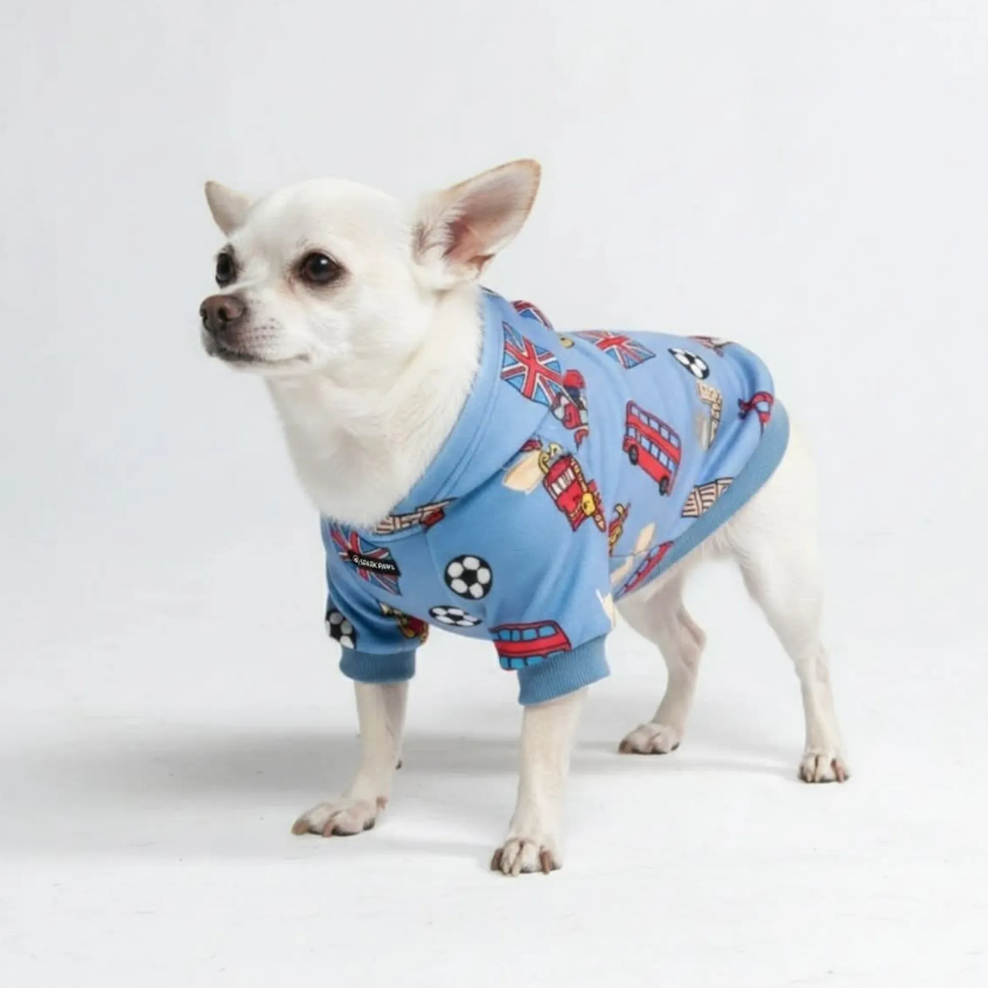 The UK Dog Hoodie