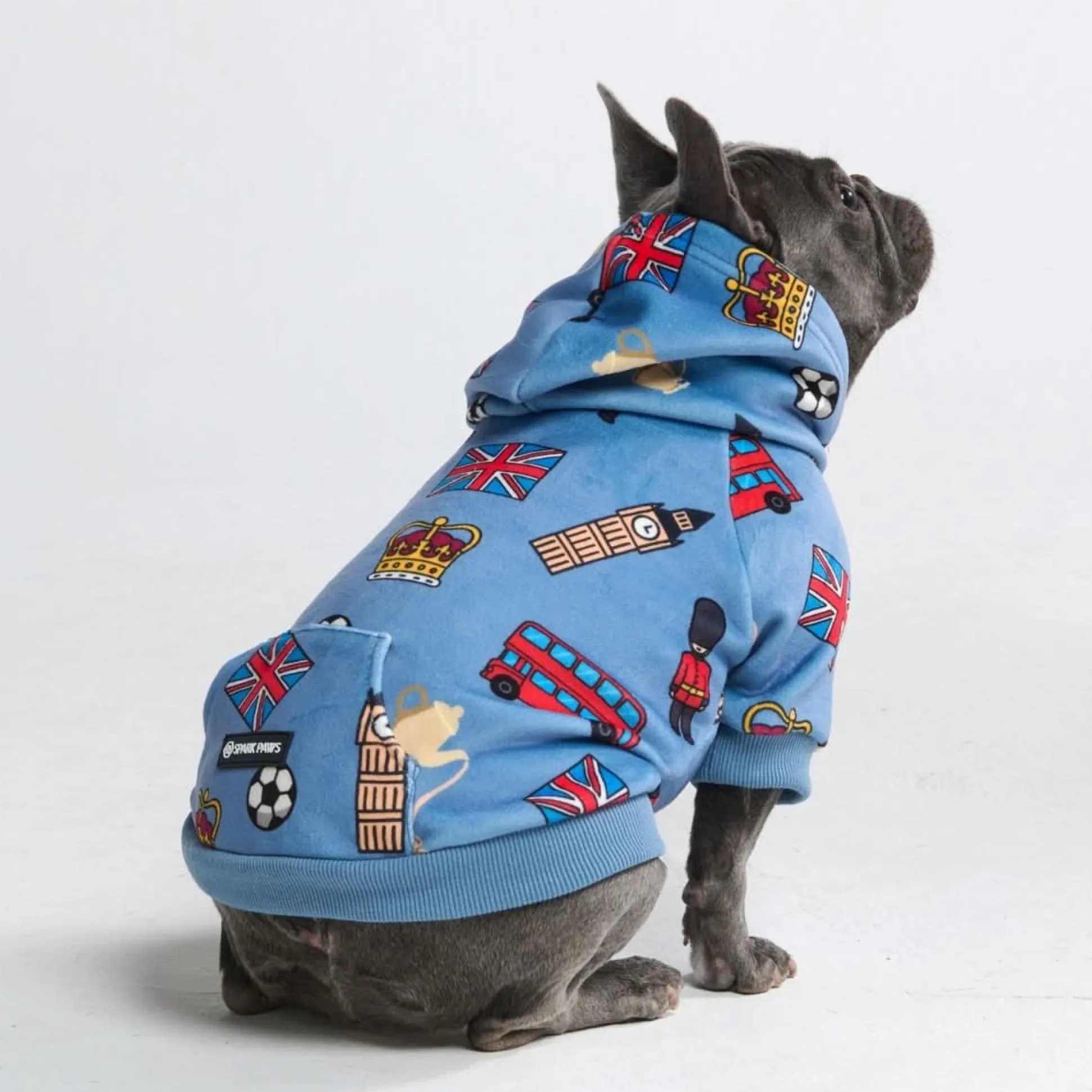 The UK Dog Hoodie