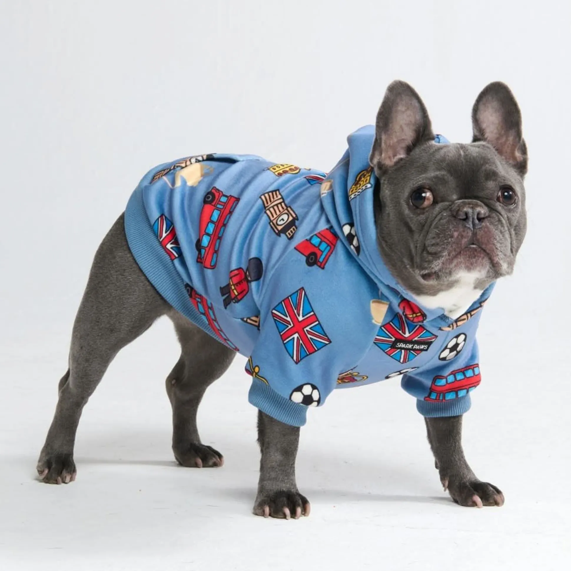 The UK Dog Hoodie