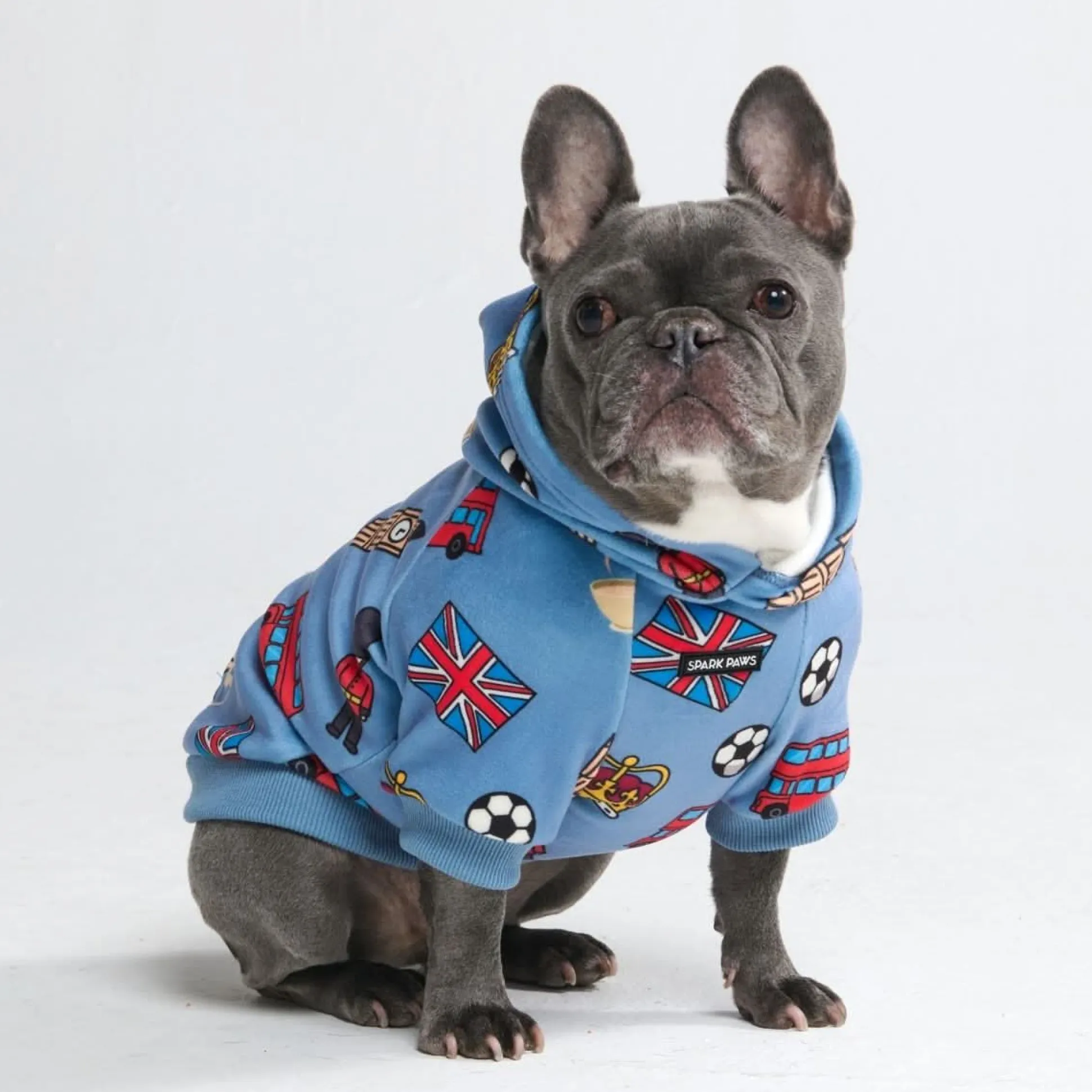 The UK Dog Hoodie