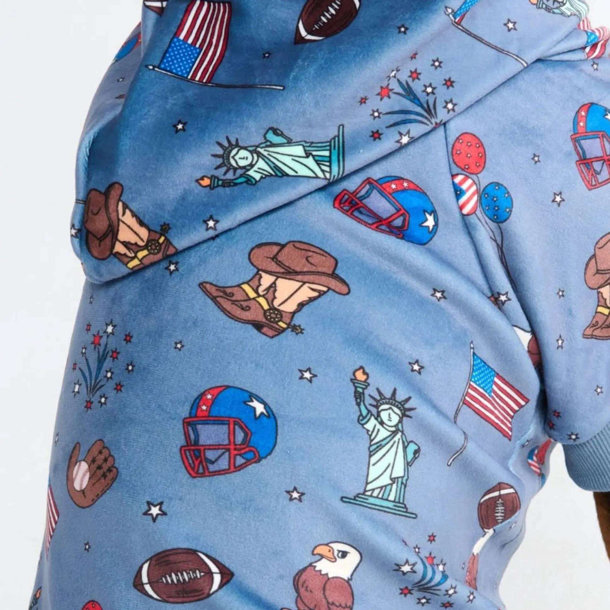 The USA Dog Hoodie - Blue